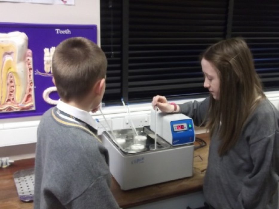 Heating milk to 32 degrees