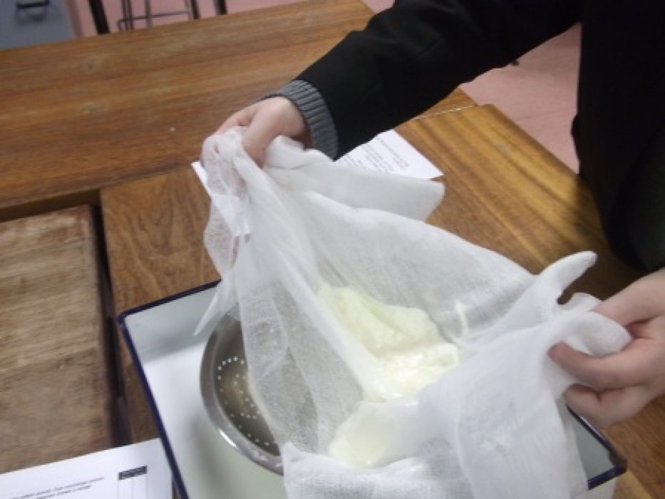 Collecting the curds