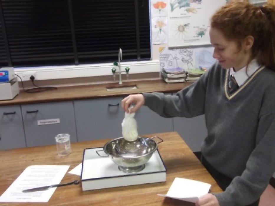 Putting cheesecloth into a bundle