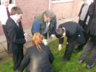 Crocus Bulbs Planted in Remembrance