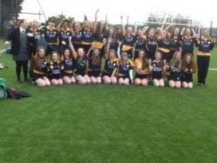 Camogs Claim Ulster Title Once Again!