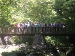 River Shimna Fieldtrip