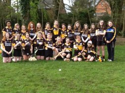 Our triumphant U14 camogie team
